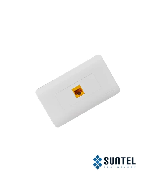Mặt Nạ Mạng Dintek 01 Port Us Type 120X70X6.2Mm